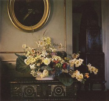 Foto fra "Karen Blixens Blomster".