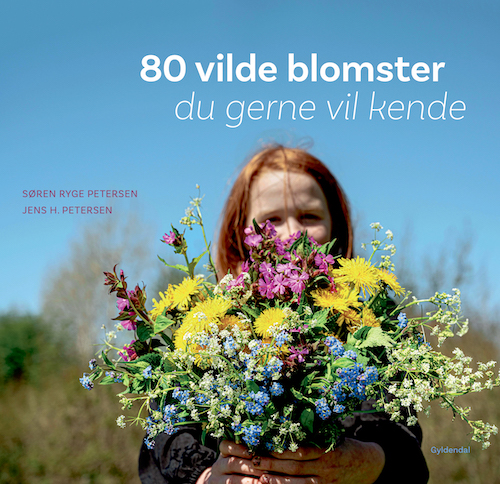 Vilde blomster-forside
