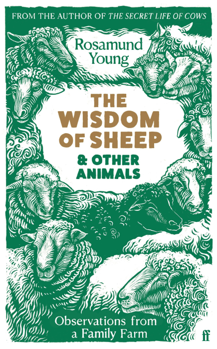 The-wisdom-of-sheep-forside